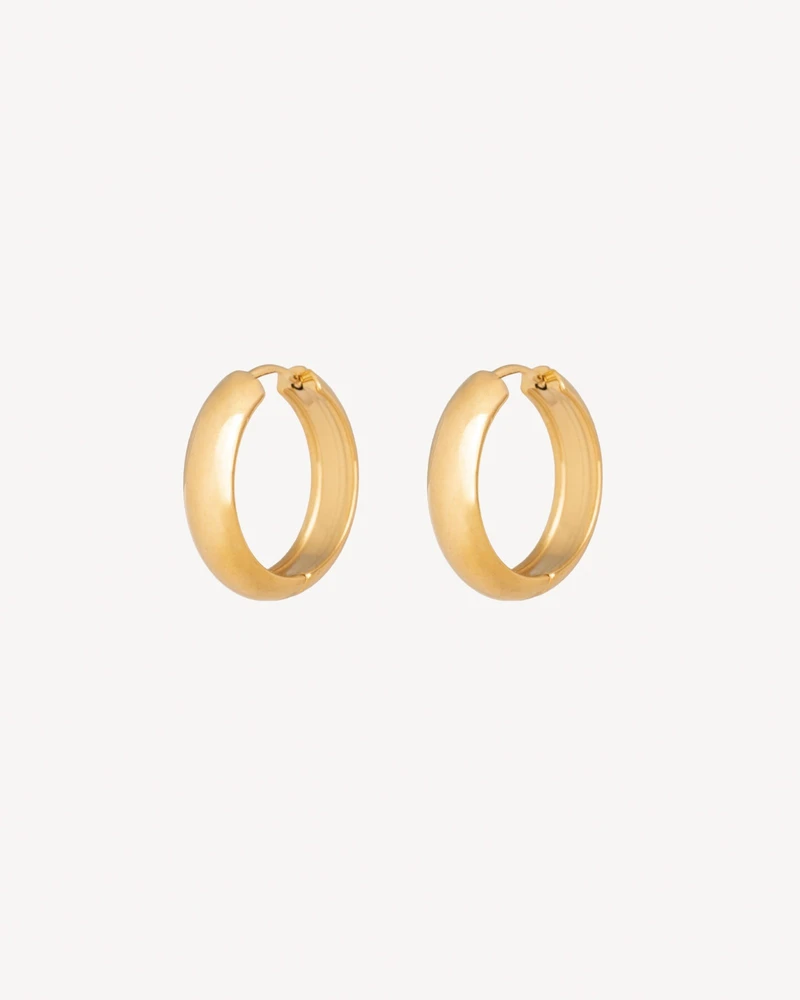 AROS AUSTRAL DORADO