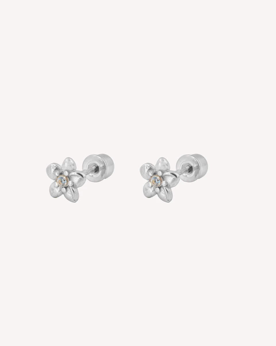 AROS BUGSBABY - PLATEADO 