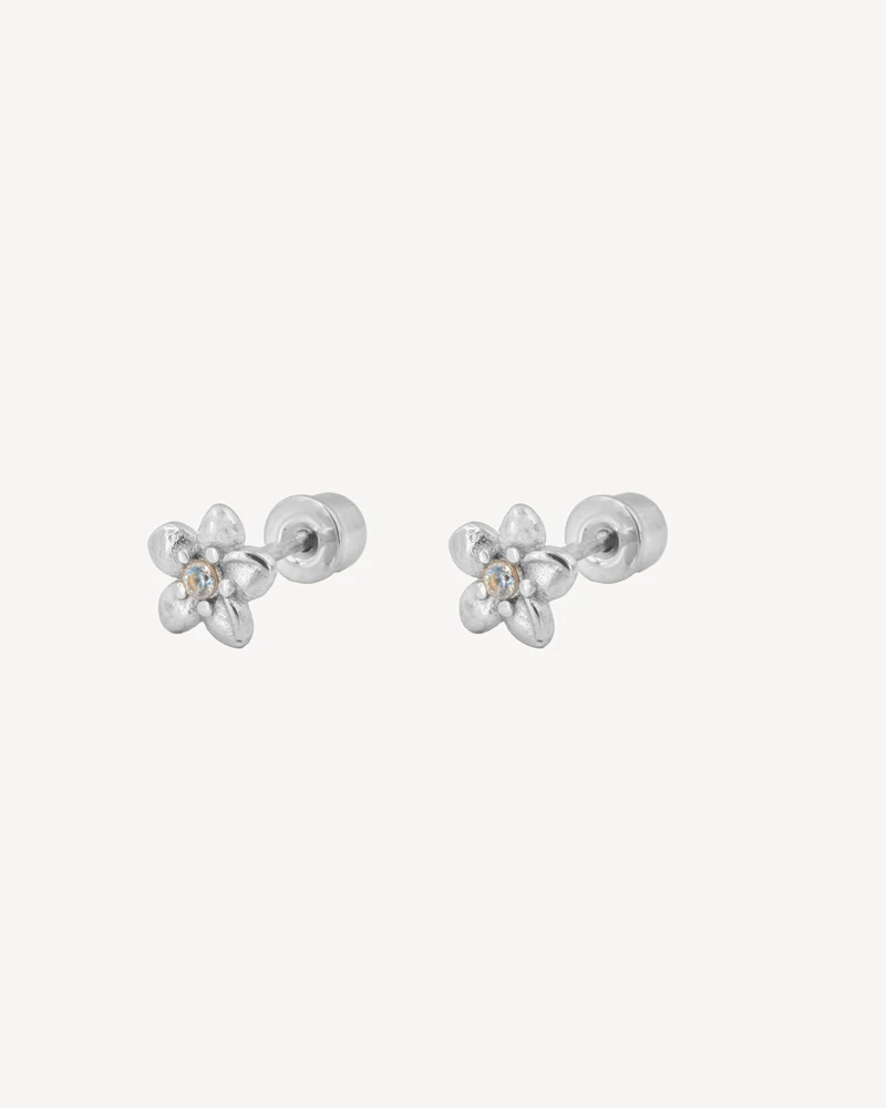AROS BUGSBABY PLATEADO