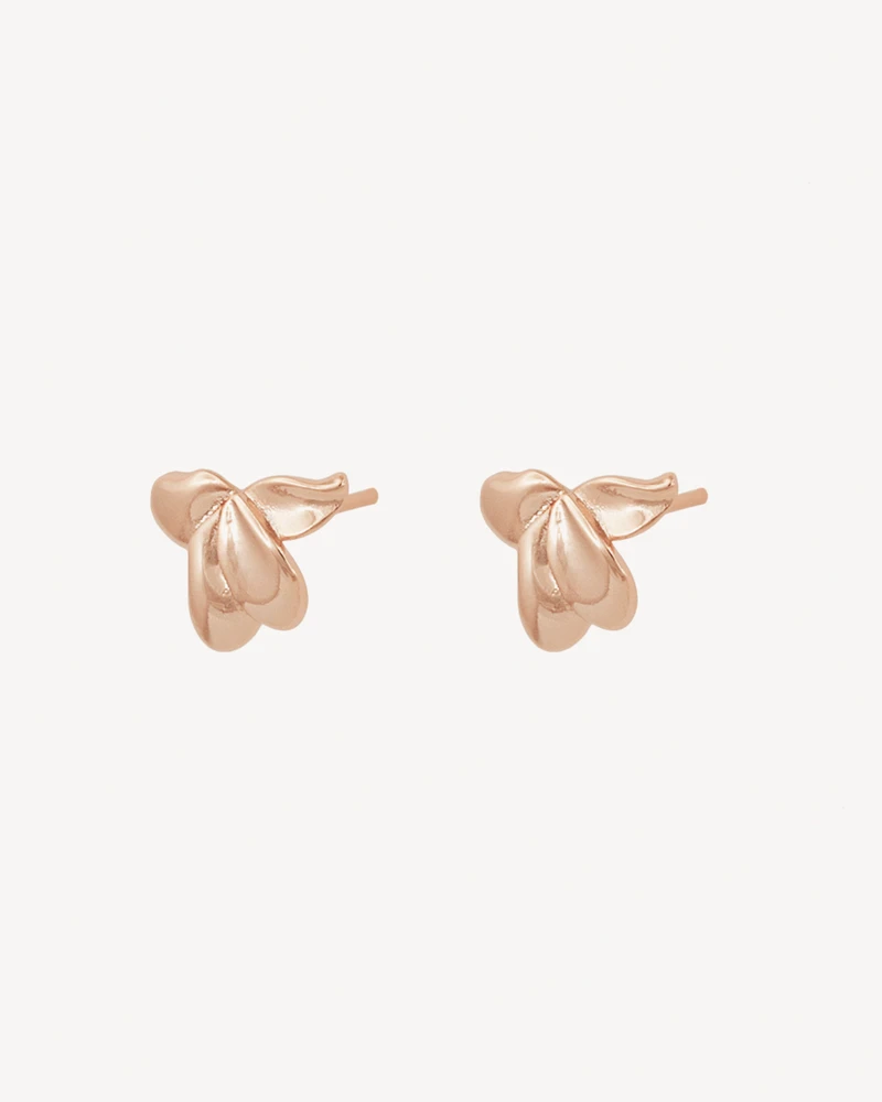 AROS CADIZ DORADO ROSA