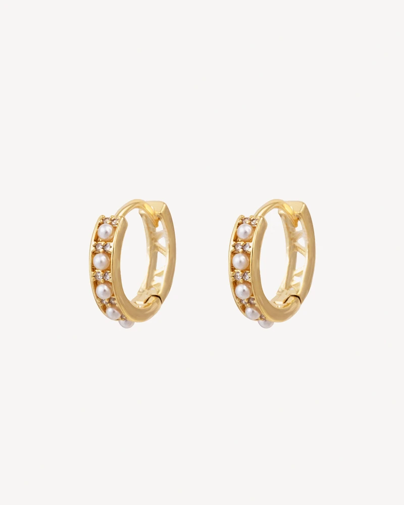 AROS CANEK DORADO