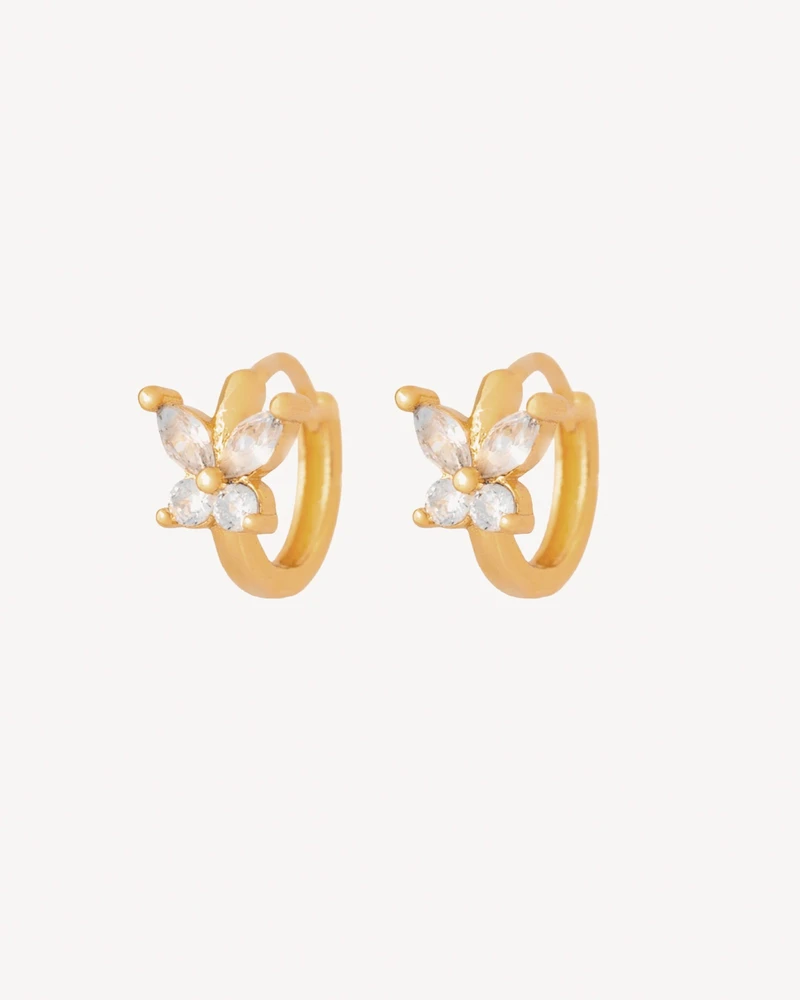 AROS CANELA DORADO