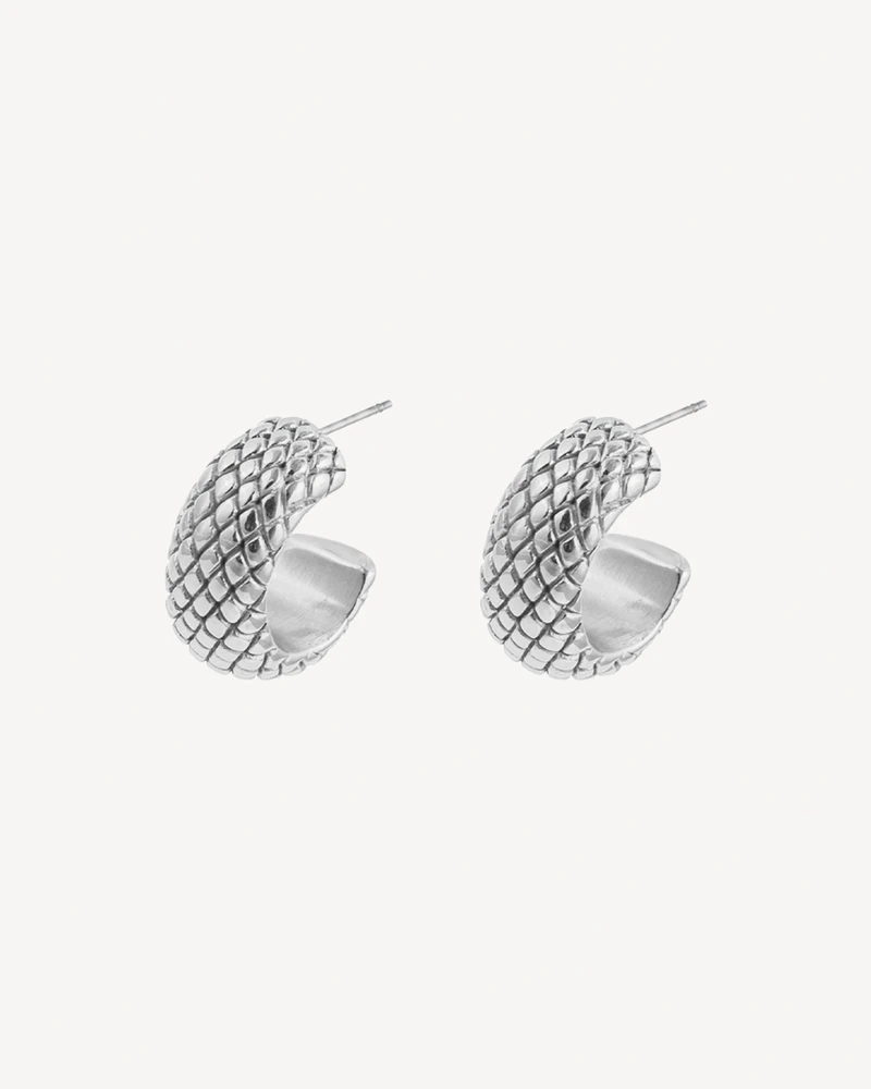 AROS FIBY PLATEADO