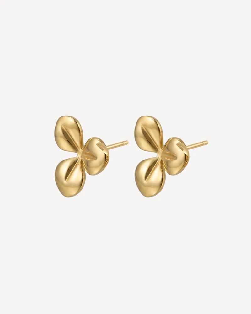 AROS JUNITA DORADO