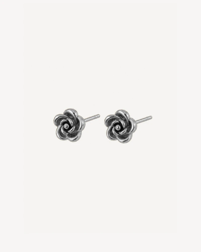 AROS MEDEN PLATEADO