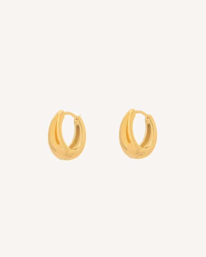 AROS NIA DORADO