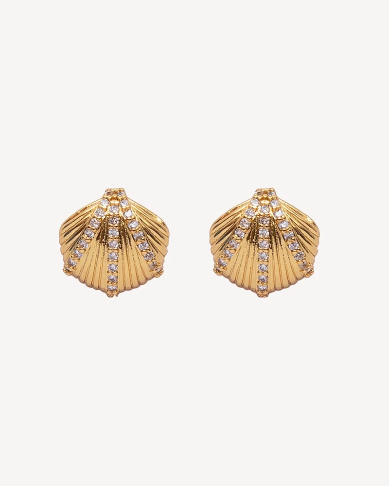 AROS NIGERIA DORADO