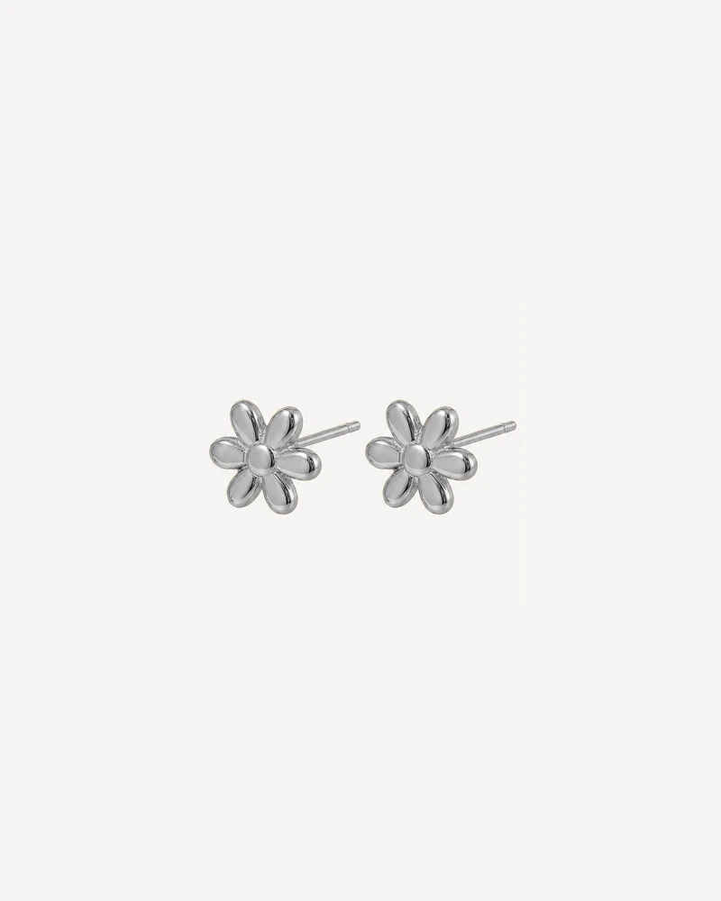 AROS ORLON PLATEADO