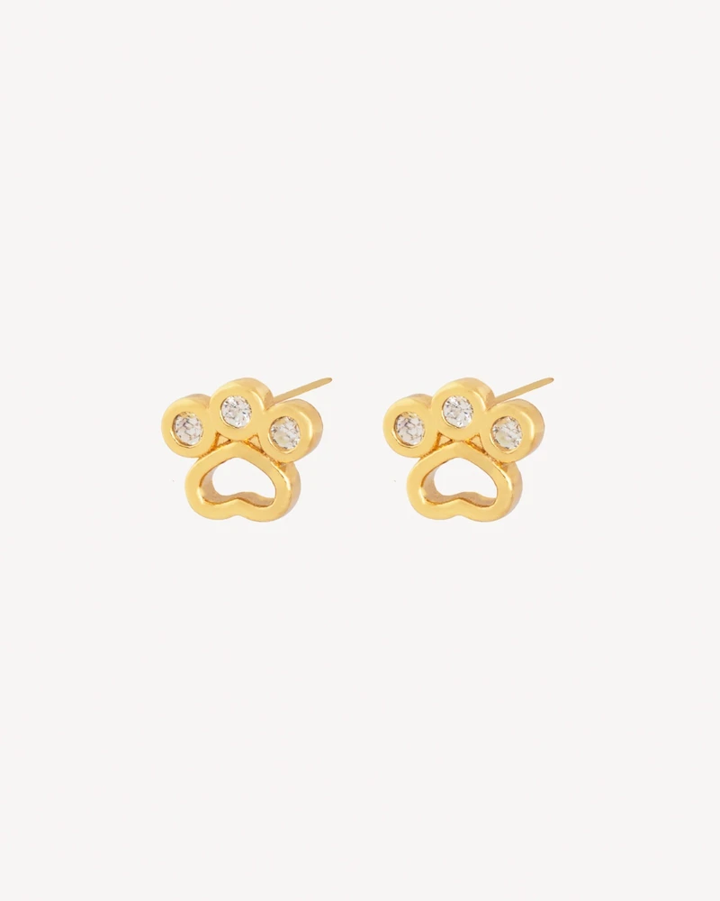 AROS PATITA DORADO