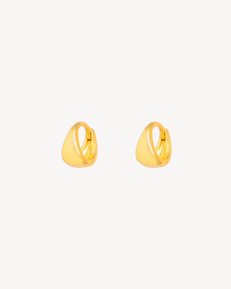 AROS RAJ DORADO