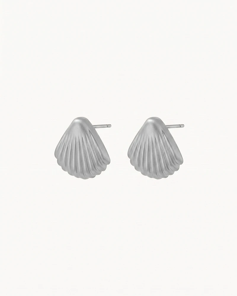 AROS RIN PLATEADO