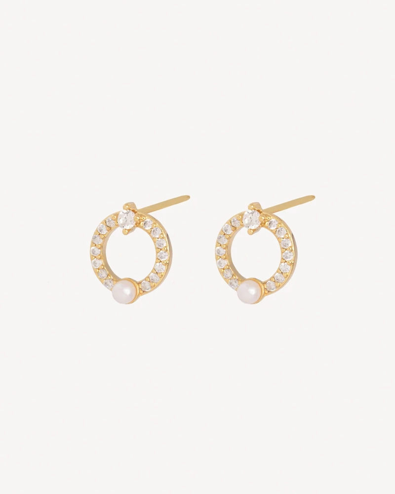 AROS SAZON DORADO