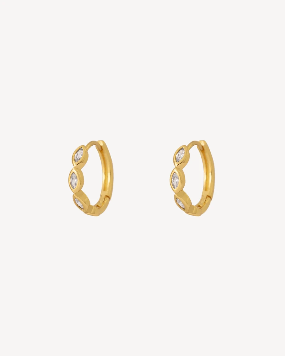 AROS SHALLOW - DORADO 
