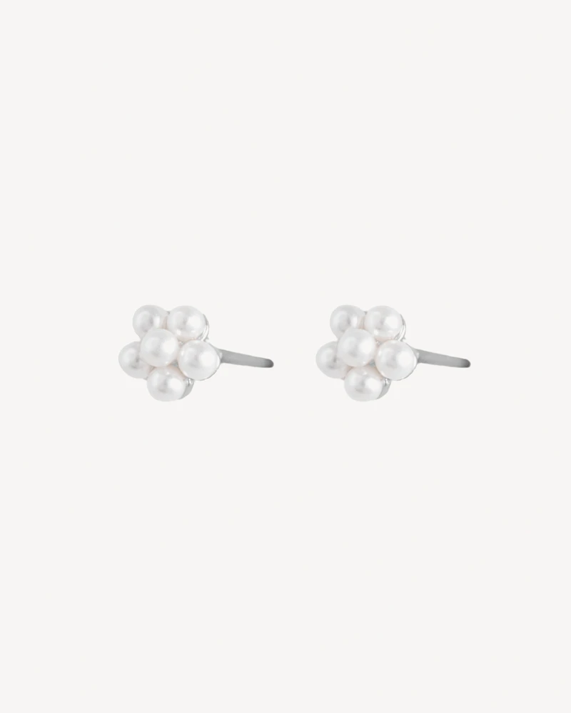 AROS SURINAM PLATEADO