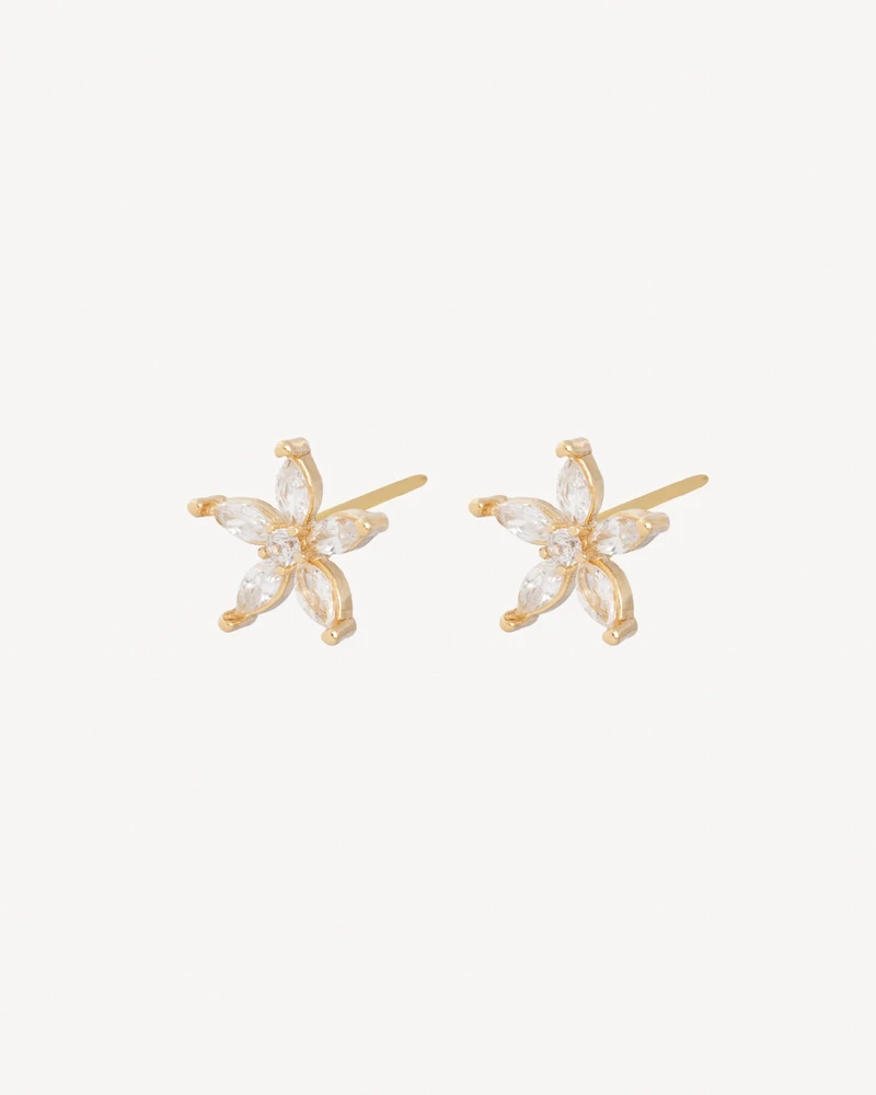 AROS TONYA DORADO