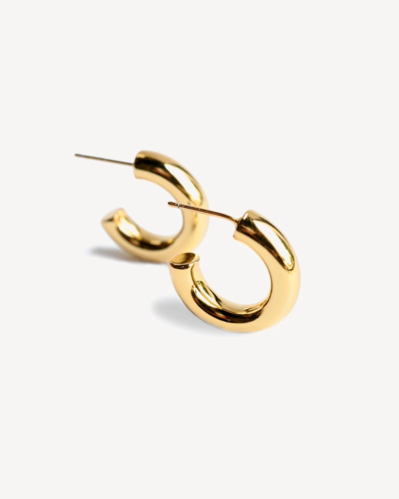 AROS TORONTO DORADO