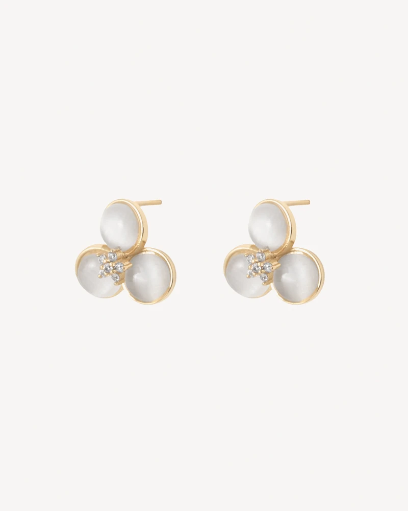 AROS TULIPAN DORADO