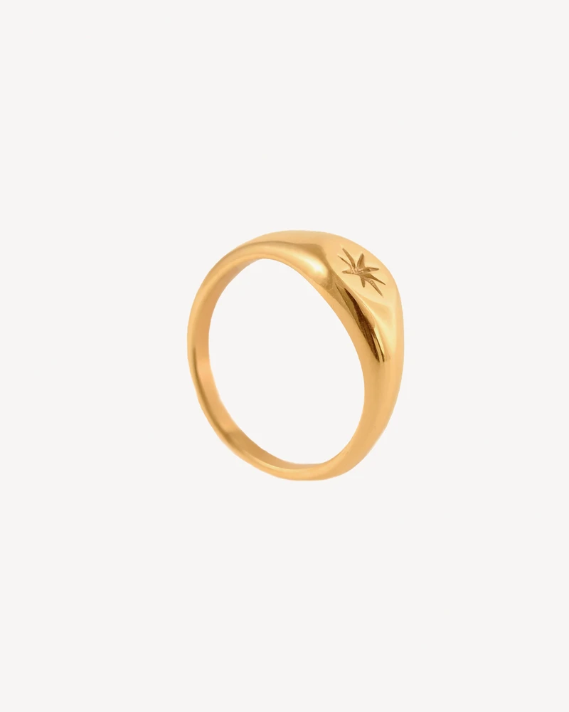 ANILLO JORGE DORADO