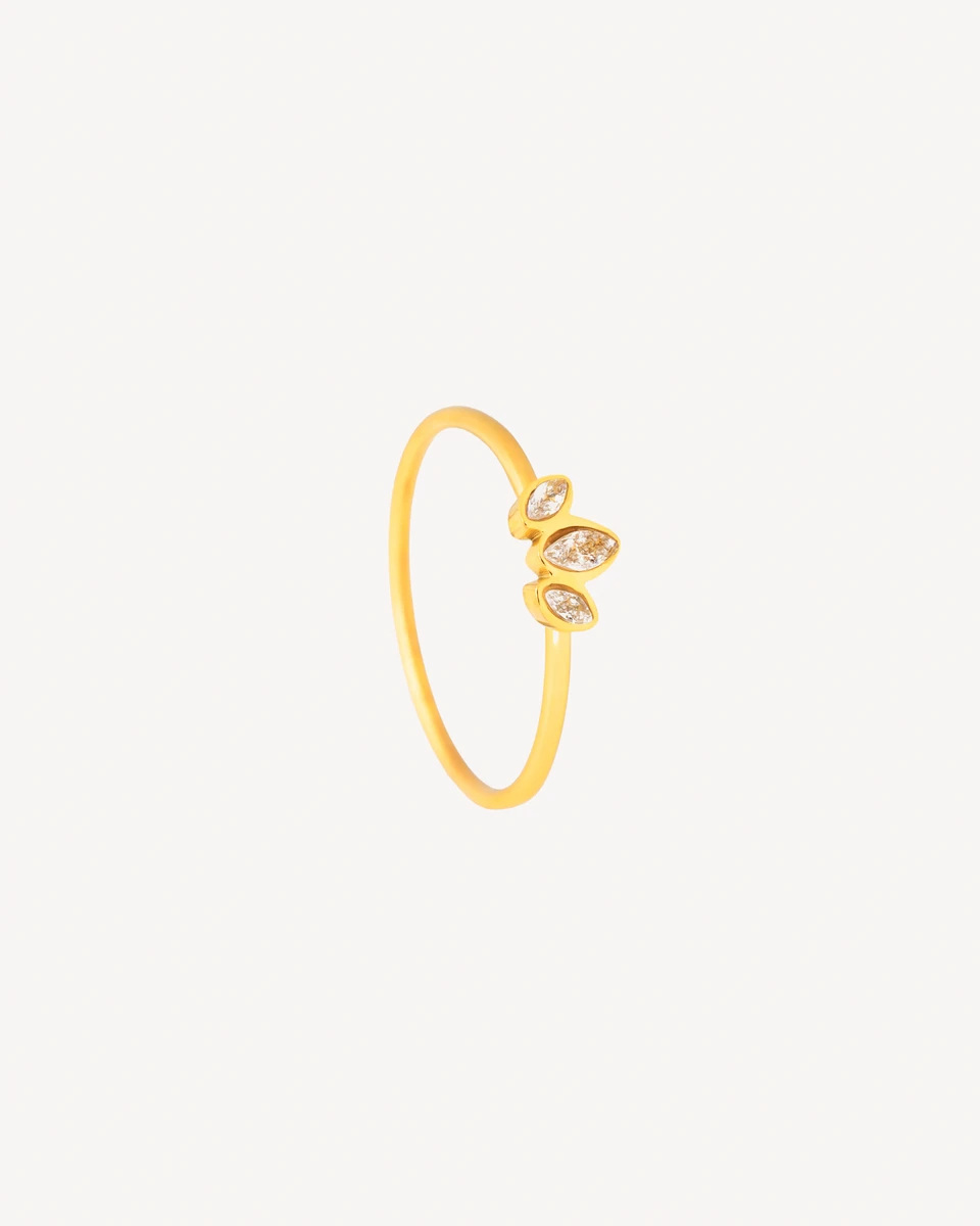 ANILLO TEMPUS - DORADO 