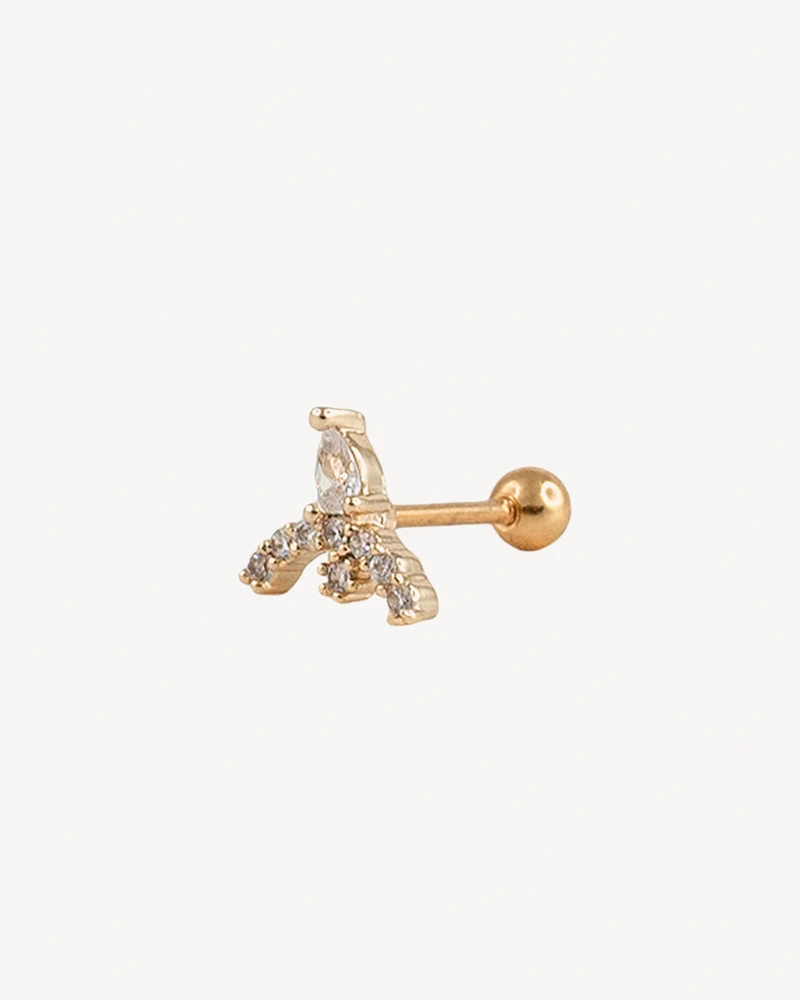 PIERCING BERNARDO DORADO