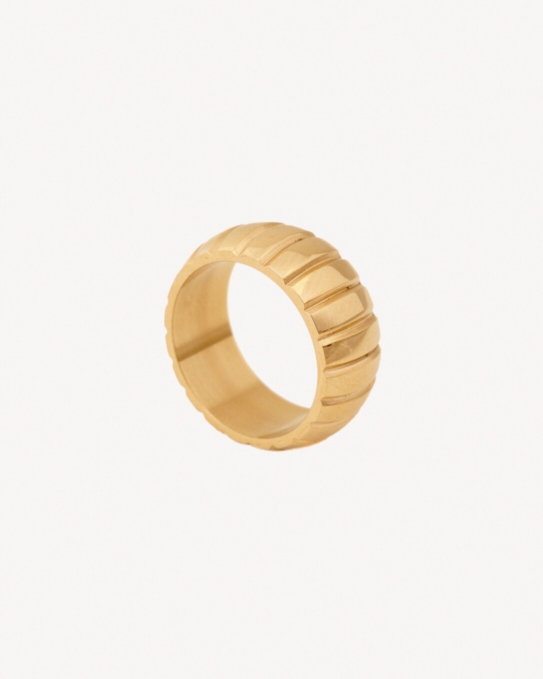 Anillo de acero, oro, homini studio