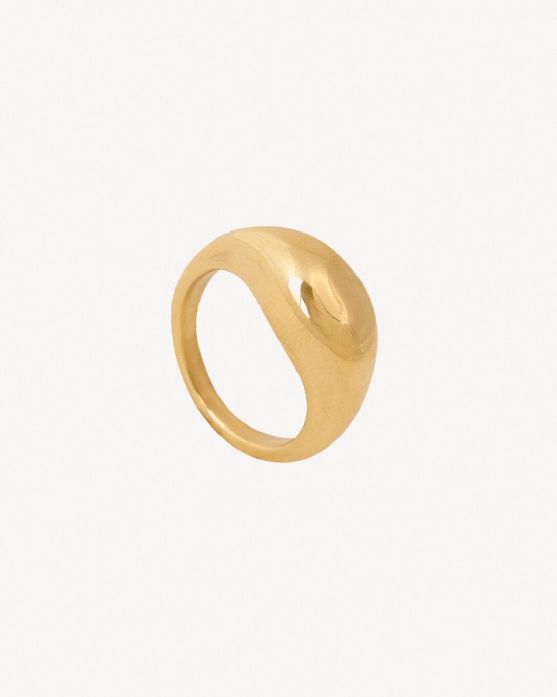 anillo de acero, homini studio