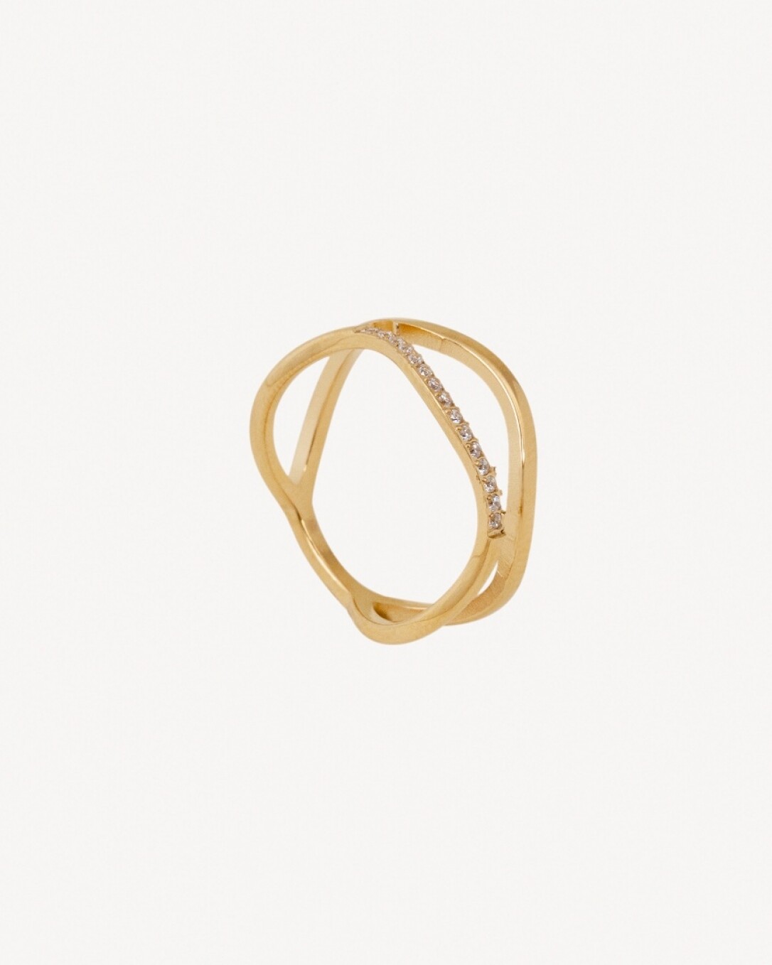 Anillo de acero, oro, homini studio