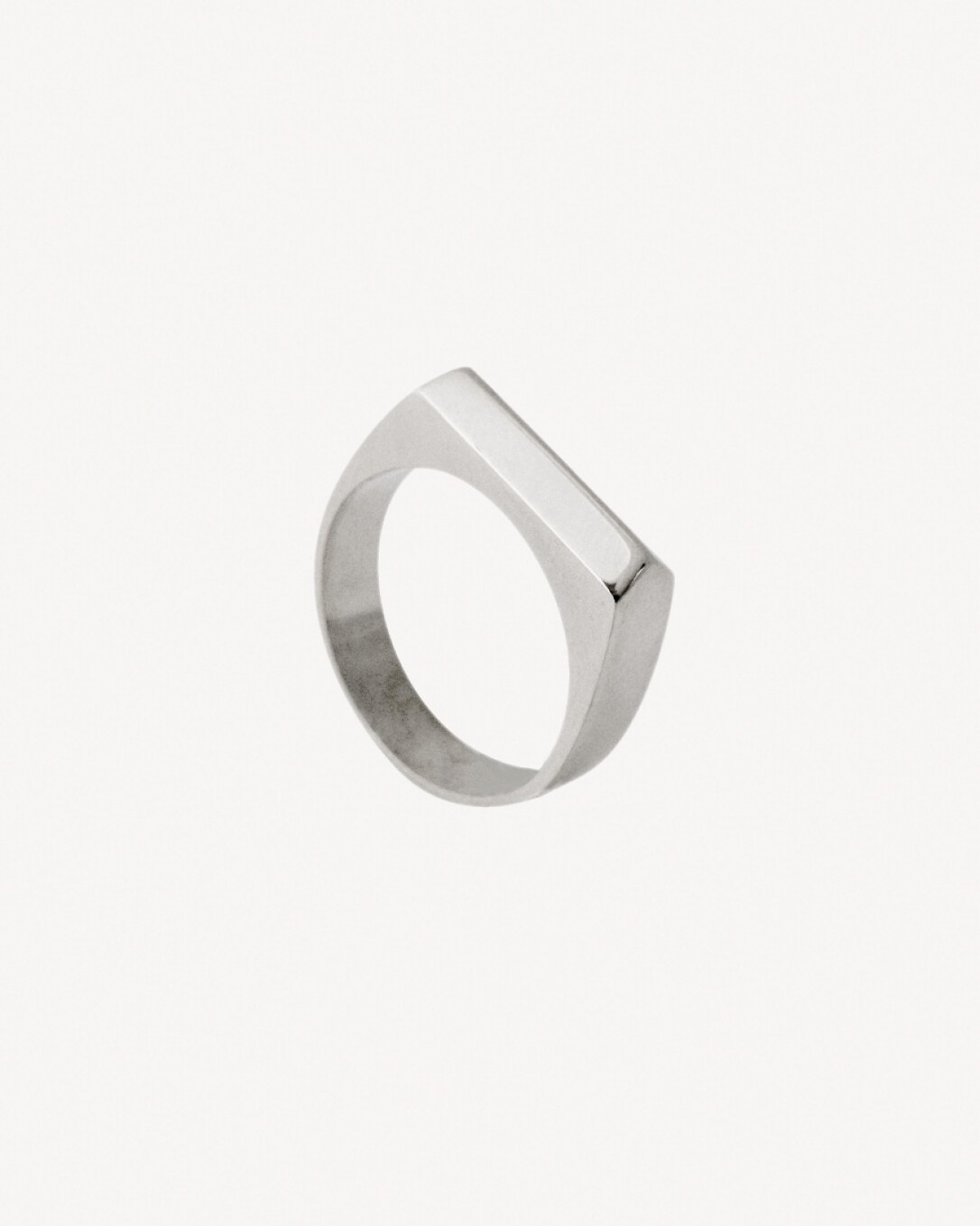 anillo de acero, homini studio